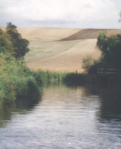 Summer Residential Project